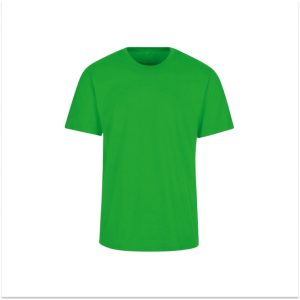 Wholesale High Quality Crew neck Plain Tee Shirt | Nigerian Green