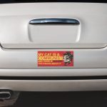 Bumper Stickers (7"x 3")
