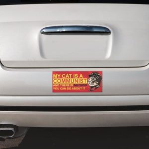Bumper Stickers (7"x 3")
