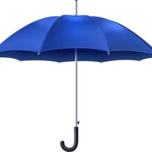 Umbrella Plain & Printed | Any Color