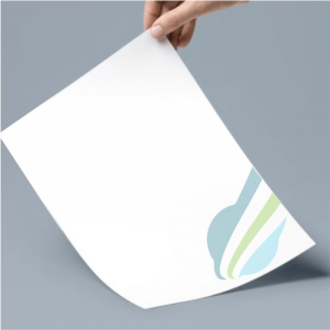 Continuation Letterhead Sheets Print (8.5 x 11.5 inches)